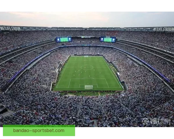 美加墨世界杯买球热潮席卷，如何把握投资机会与风险